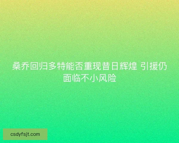 桑乔回归多特能否重现昔日辉煌 引援仍面临不小风险