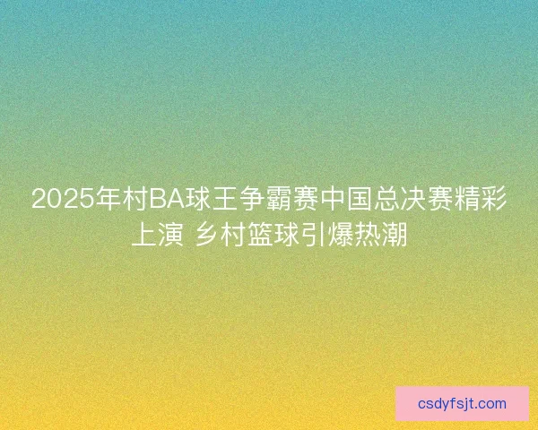 2025年村BA球王争霸赛中国总决赛精彩上演 乡村篮球引爆热潮