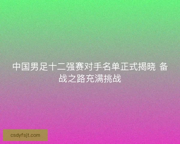 中国男足十二强赛对手名单正式揭晓 备战之路充满挑战