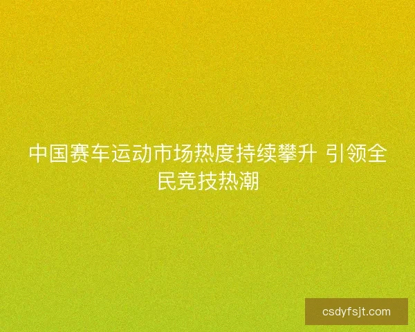 中国赛车运动市场热度持续攀升 引领全民竞技热潮