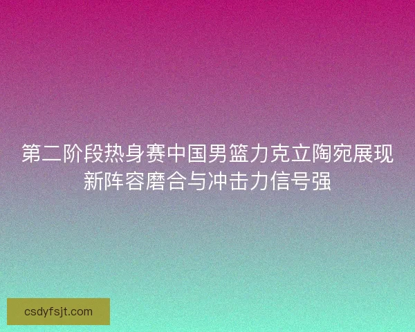 第二阶段热身赛中国男篮力克立陶宛展现新阵容磨合与冲击力信号强