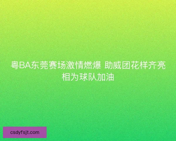 粤BA东莞赛场激情燃爆 助威团花样齐亮相为球队加油